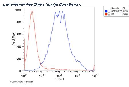 Invitrogen MA1-020 image 2