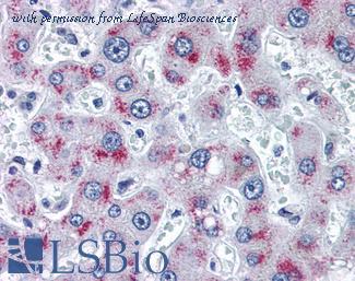 LifeSpan Biosciences LS-B3046 image 1