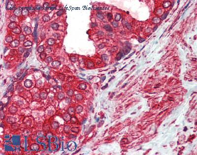 LifeSpan Biosciences LS-B3131 image 2