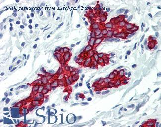LifeSpan Biosciences LS-B3148 image 1