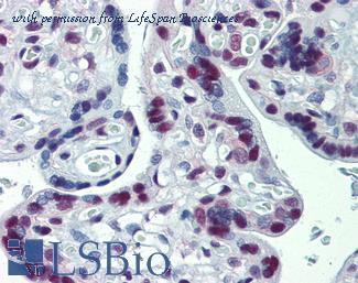 LifeSpan Biosciences LS-B3911 image 2