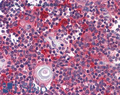 LifeSpan Biosciences LS-B4064 image 2