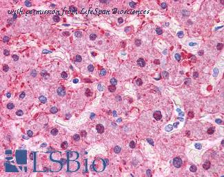 LifeSpan Biosciences LS-B4660 image 1