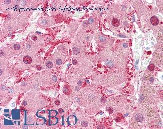 LifeSpan Biosciences LS-B6269 image 2