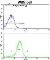 LifeSpan Biosciences LS-C155827 image 3