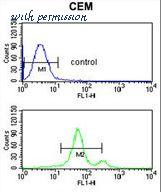 LifeSpan Biosciences LS-C155923 image 3