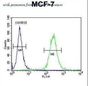 LifeSpan Biosciences LS-C160443 image 2