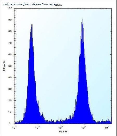 LifeSpan Biosciences LS-C164083 image 3