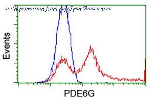 LifeSpan Biosciences LS-C173401 image 2