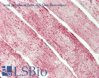 LifeSpan Biosciences LS-B13280 image 3