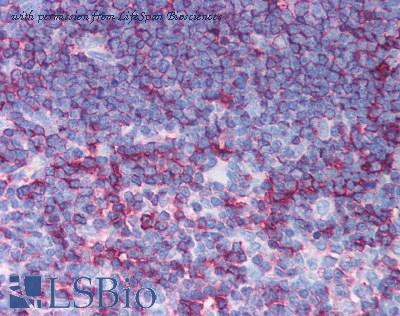 LifeSpan Biosciences LS-B1063 image 1