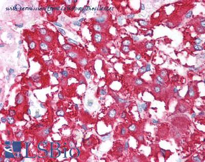 LifeSpan Biosciences LS-B1265 image 1