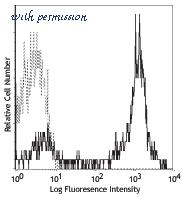 LifeSpan Biosciences LS-C40954 image 1