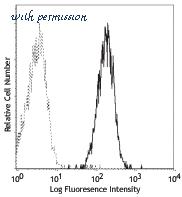 LifeSpan Biosciences LS-C40976 image 1