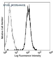 LifeSpan Biosciences LS-C41007 ͼ 1