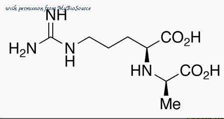 MyBioSource MBS6045660 image 1