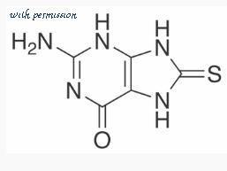 MyBioSource MBS6046275 image 1