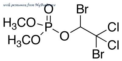 MyBioSource MBS6058997 image 1