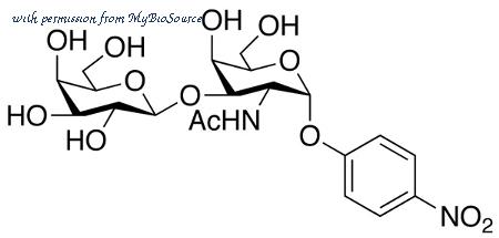 MyBioSource MBS6072378 image 1