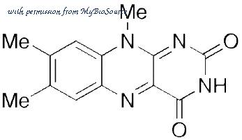 MyBioSource MBS6078928 image 1