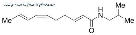 MyBioSource MBS6095018 image 1