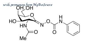 MyBioSource MBS6101816 image 1