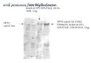 MyBioSource MBS596016 image 1