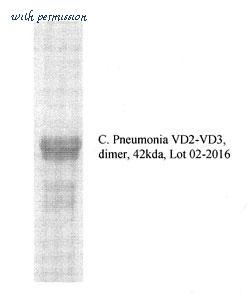 MyBioSource MBS596026 image 1