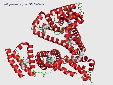 MyBioSource MBS635124 image 1