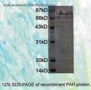MyBioSource MBS8506854 image 1