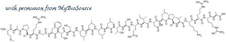 MyBioSource MBS826521 image 1