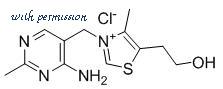 MyBioSource MBS2086538 image 1