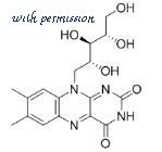 MyBioSource MBS2086540 image 1