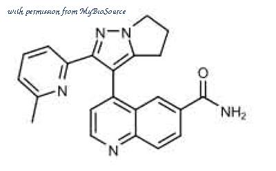 MyBioSource MBS575467 image 1