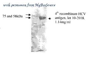 MyBioSource MBS596011 image 1