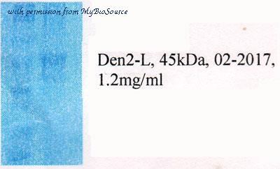 MyBioSource MBS596090 image 1