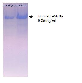 MyBioSource MBS596091 image 1
