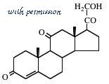 MyBioSource MBS639017 image 1