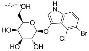 MyBioSource MBS639141 image 1
