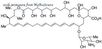 MyBioSource MBS651219 image 1