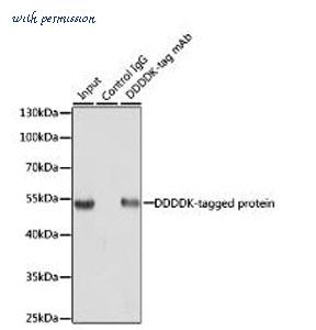 MyBioSource MBS9128950 image 1