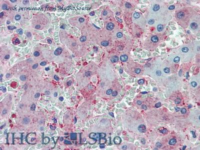 MyBioSource MBS2001853 image 1