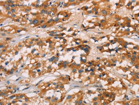 MyBioSource MBS2522916 image 1