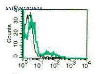 MyBioSource MBS335433 image 1