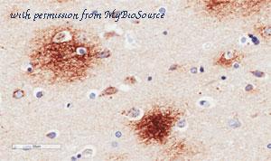 MyBioSource MBS488264 image 1