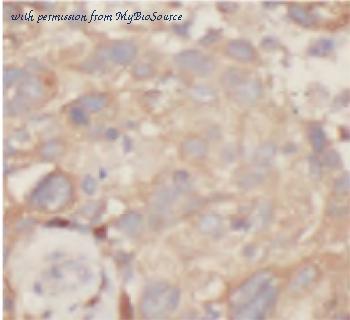 MyBioSource MBS7601572 image 1