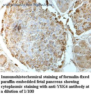 MyBioSource MBS8527095 image 1