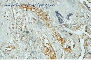 MyBioSource MBS9407198 image 1