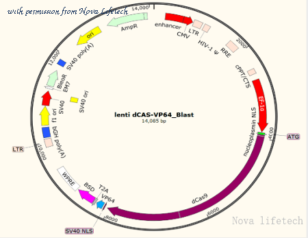 Nova Lifetech PVT6318 image 1