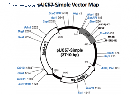Nova Lifetech PVT10561 image 1